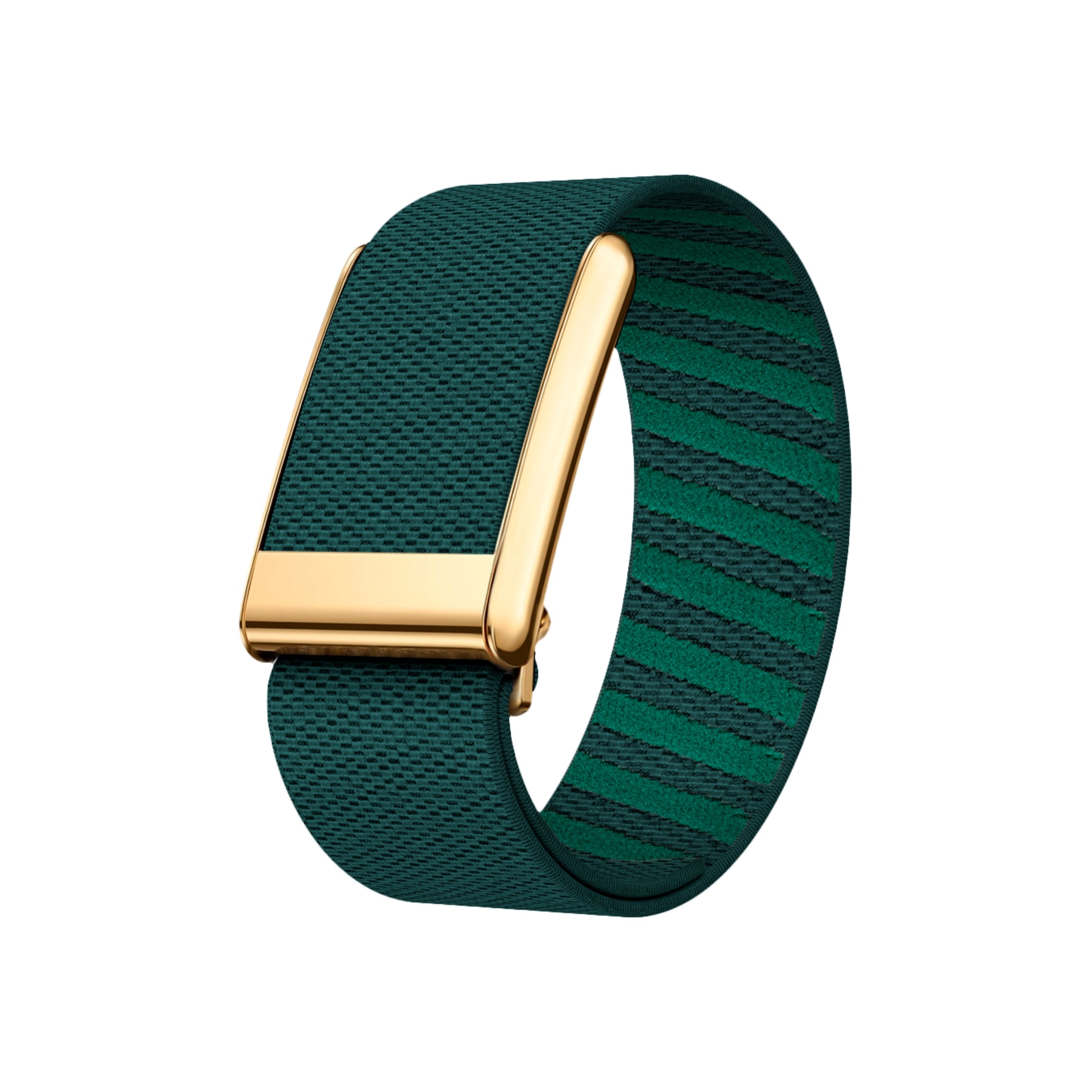 Correa Whoop SuperKnit Edicion Gold 5.0