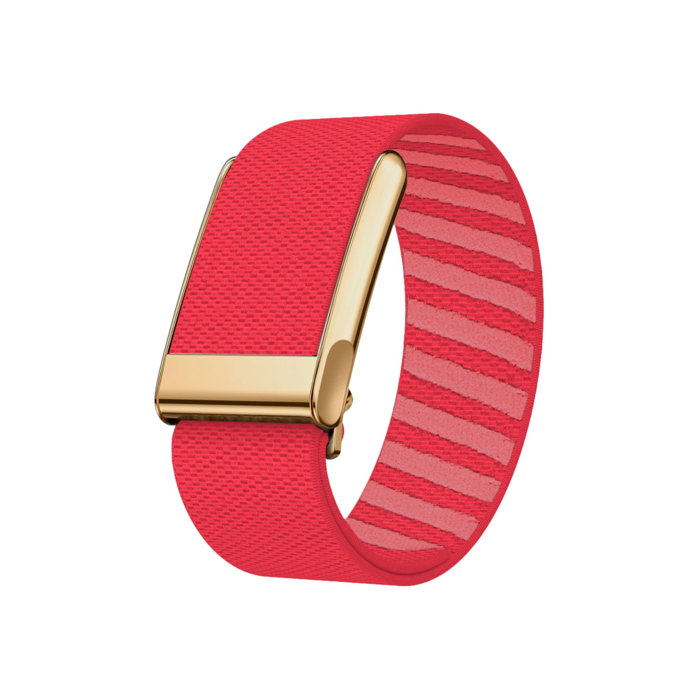 Correa Whoop SuperKnit Edicion Gold MG